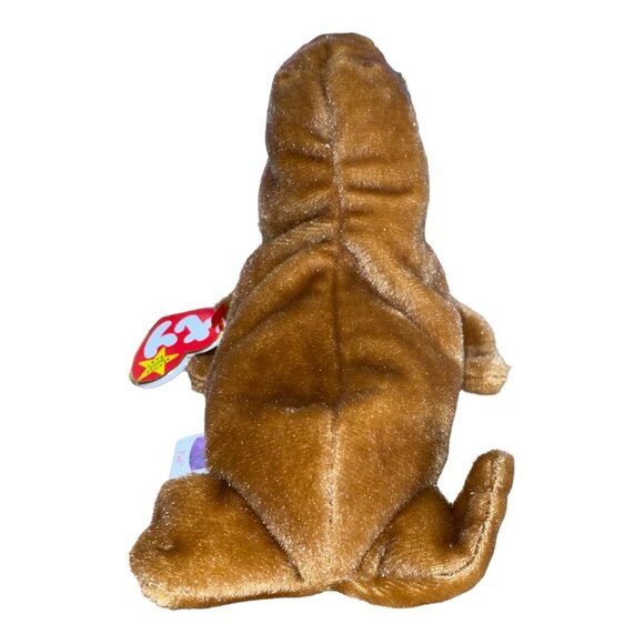 Ty Beanie Babies Paul Walrus 1999 Plush Stuffed Animal Hang 5th Gen Tush 7th Gen - Picture 4 of 11